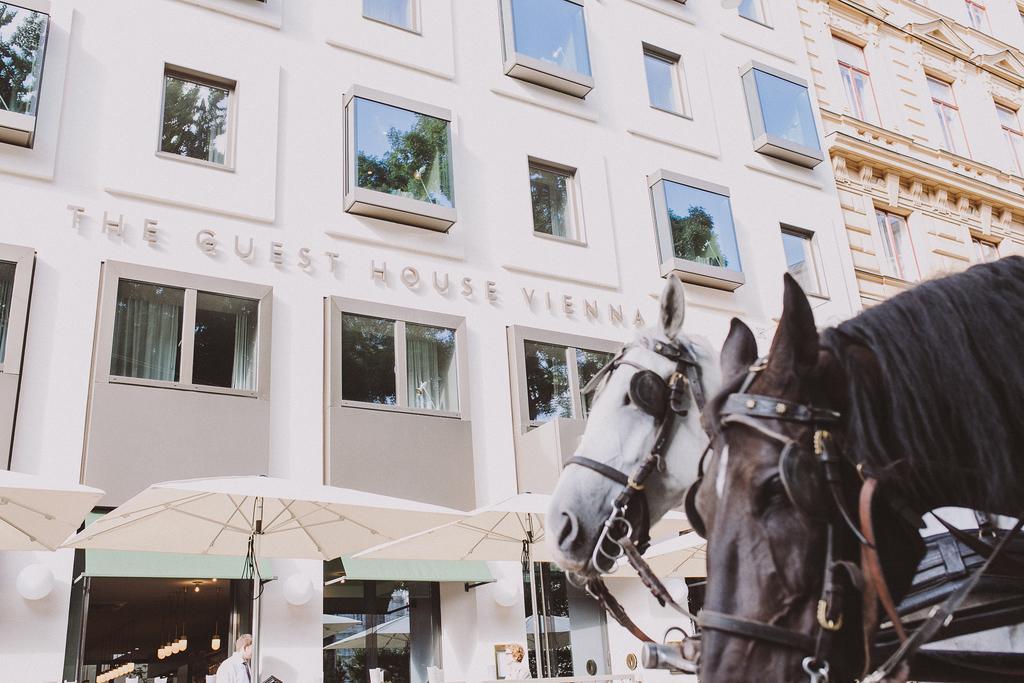 فندق ذا غيست هاوس فيينا المظهر الخارجي الصورة